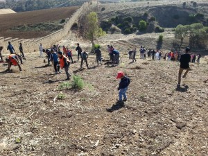 Journée de plantation dans la Vallée du Bouregreg  