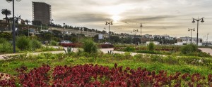 Green spaces(Quay of Rabat)