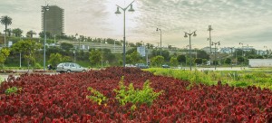 Espaces verts (Quai de Rabat) 