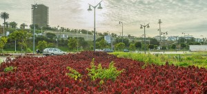 Green spaces(Quay of Rabat)